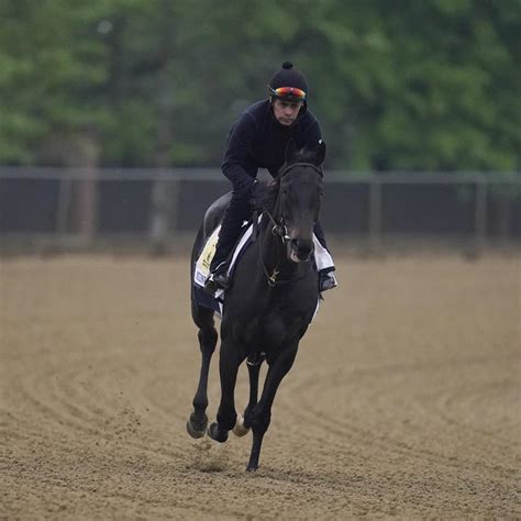 2022 preakness entries|Preakness 2022: Entries, Contenders, Odds and Lineup Analysis.